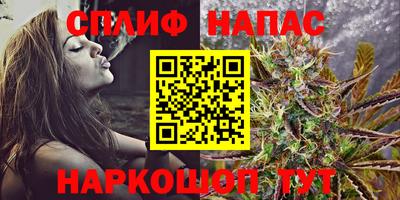 альфа пвп Волгодонск