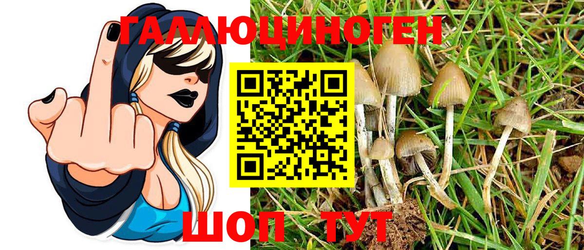 Галлюциногенные грибы GOLDEN TEACHER Можга