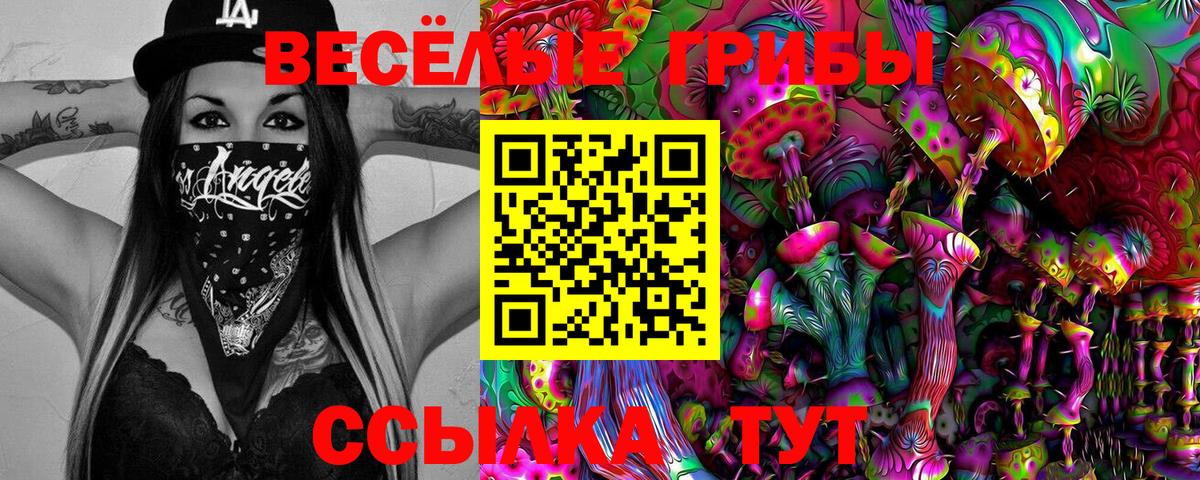 Псилоцибиновые грибы прущие грибы  Галлюциногенные грибы GOLDEN TEACHER  Вход с VPN  Можга 