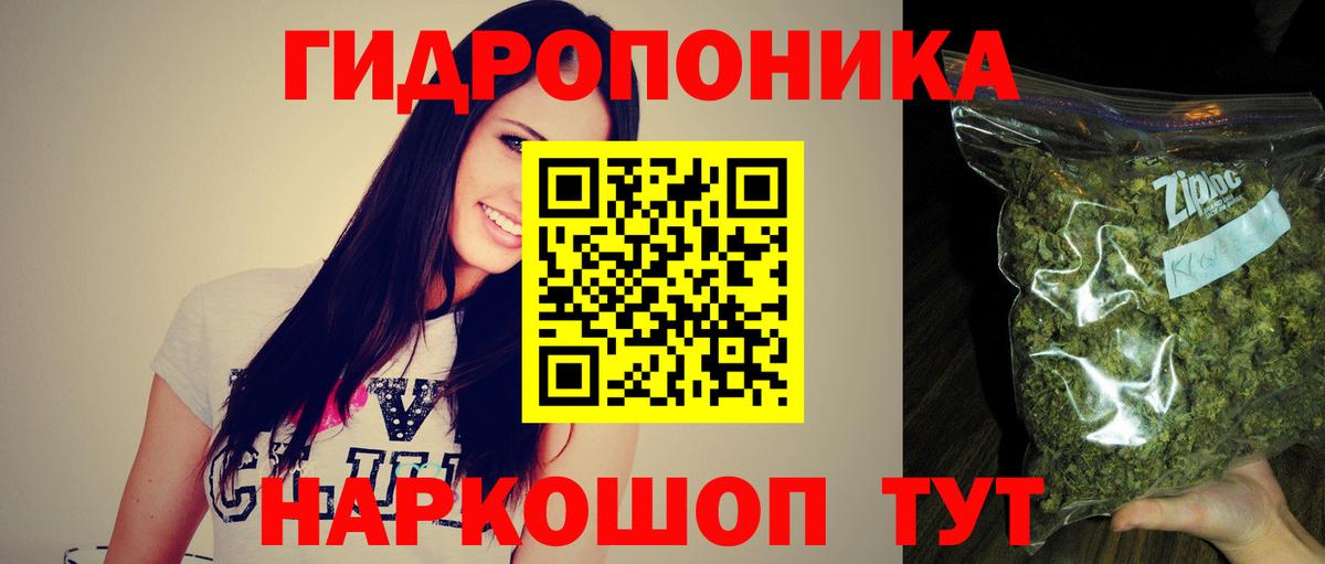Шишки марихуана план Можга